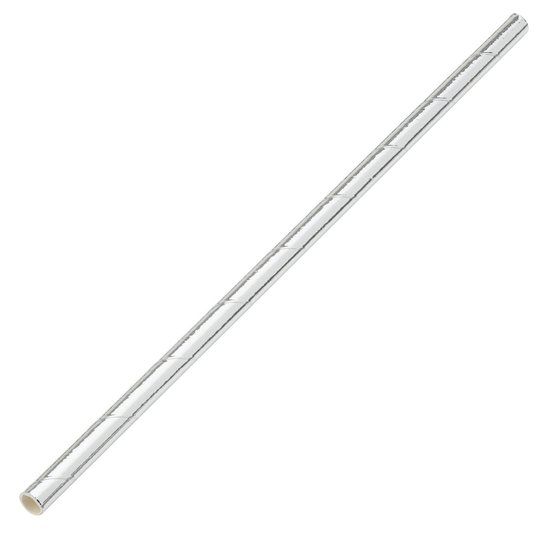 Paper Solid Silver Straw - F90103-000000-B01024 (Pack of 24)